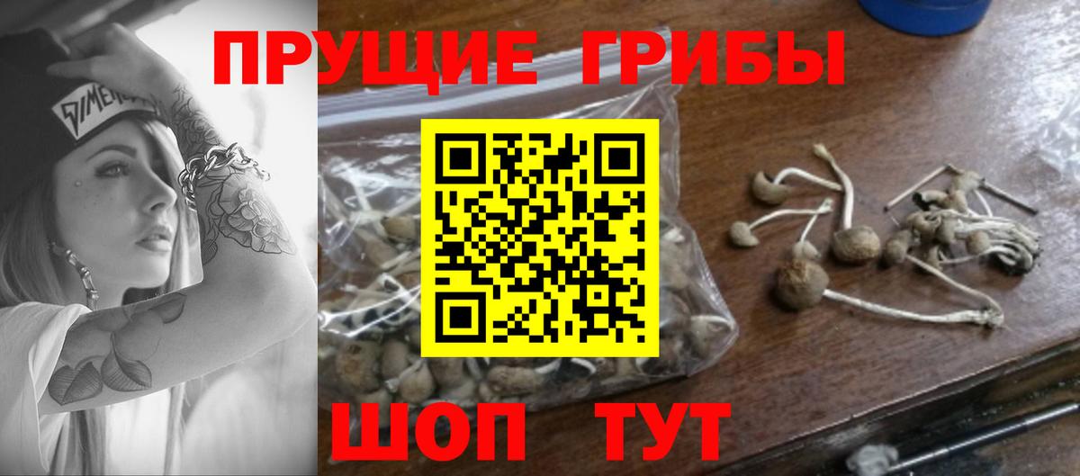Псилоцибиновые грибы Magic Shrooms Кисловодск
