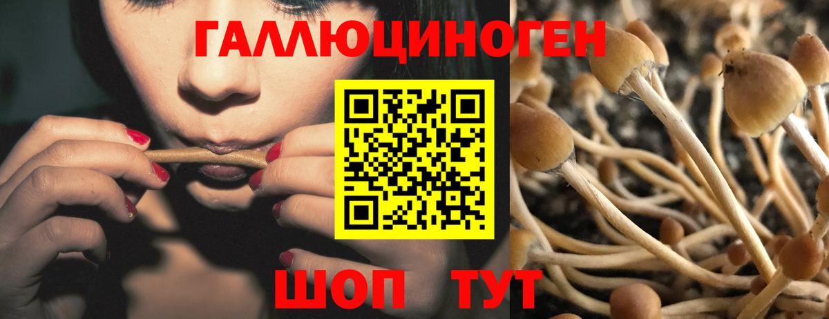 Кисловодск  Псилоцибиновые грибы GOLDEN TEACHER  Вход с VPN 