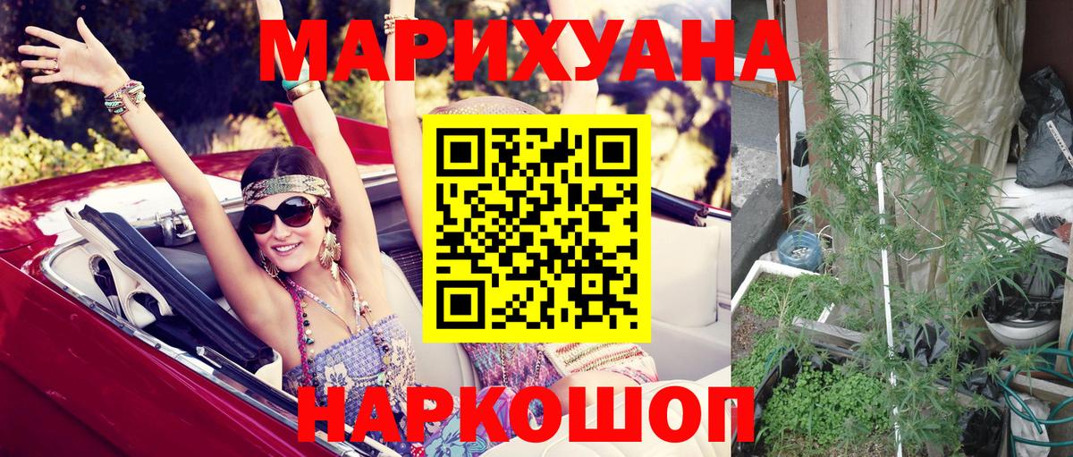 Марихуана SATIVA & INDICA  Вход с VPN  Бошки марихуана семена  Кисловодск 