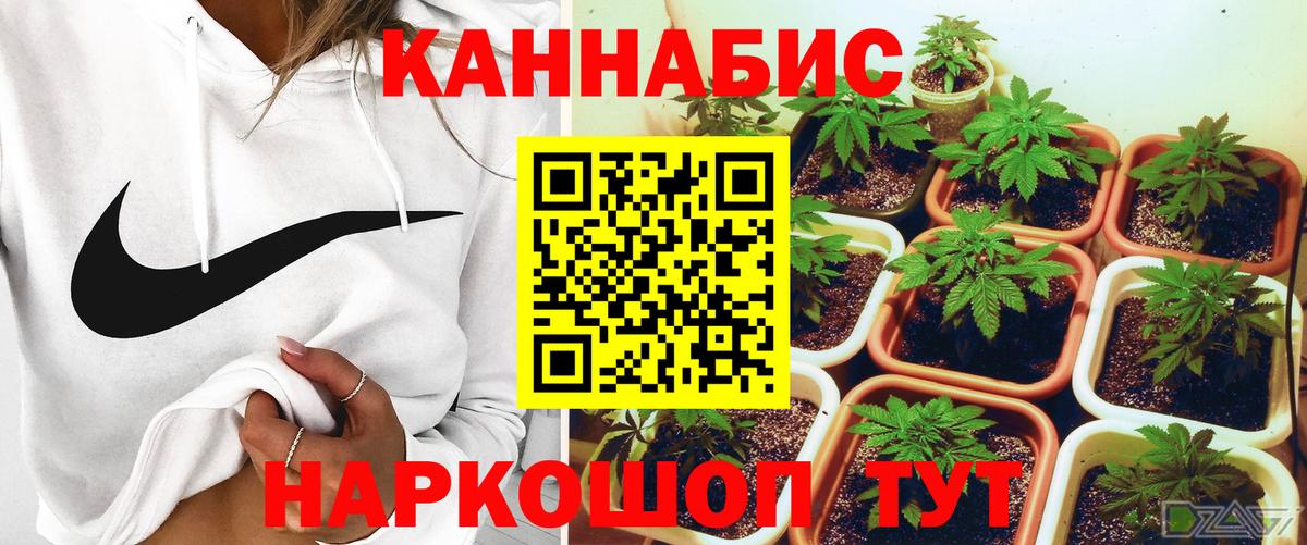 МАРИХУАНА Amnesia Кисловодск